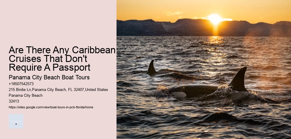 Are There Any Caribbean Cruises That Don't Require A Passport Panama City Beach Boat Tours Are There Any Caribbean Cruises That Don't Require A Passport