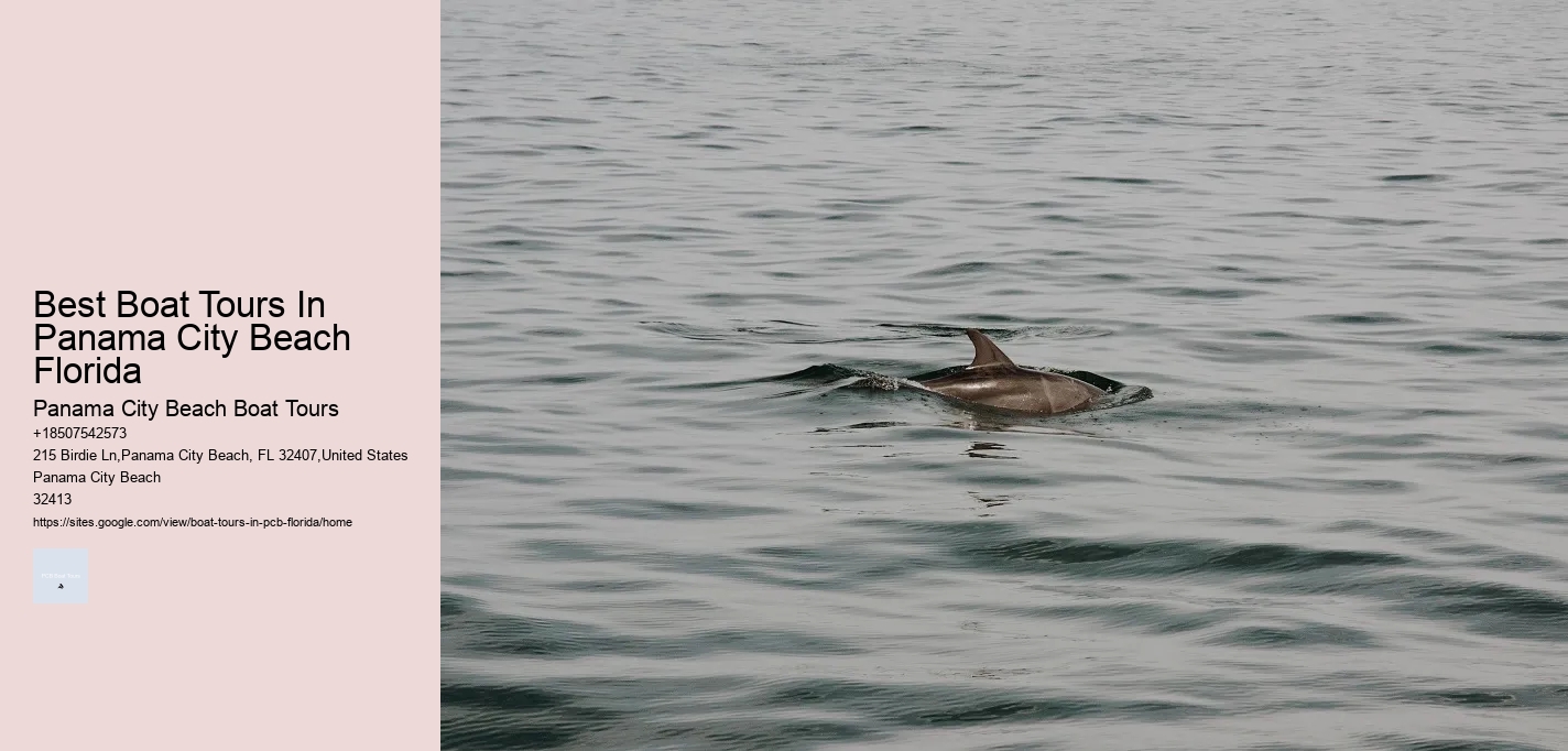 Best Boat Tours In Panama City Beach Florida Panama City Beach Boat Tours Best Boat Tours In Panama City Beach Florida