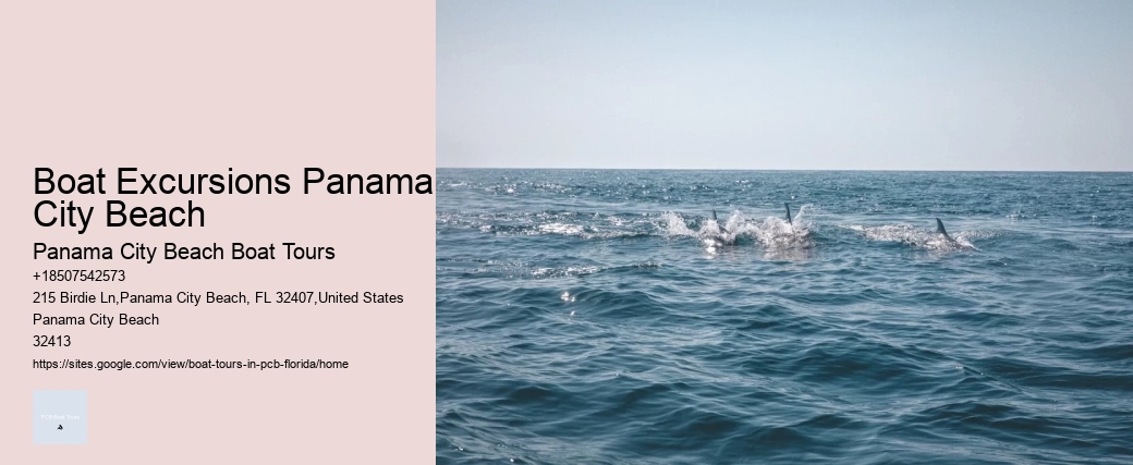Boat Excursions Panama City Beach Panama City Beach Boat Tours Boat Excursions Panama City Beach