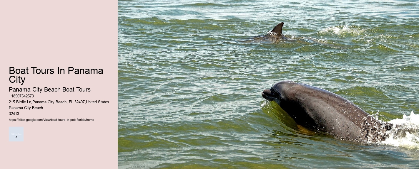 Boat Tours In Panama City Panama City Beach Boat Tours Boat Tours In Panama City