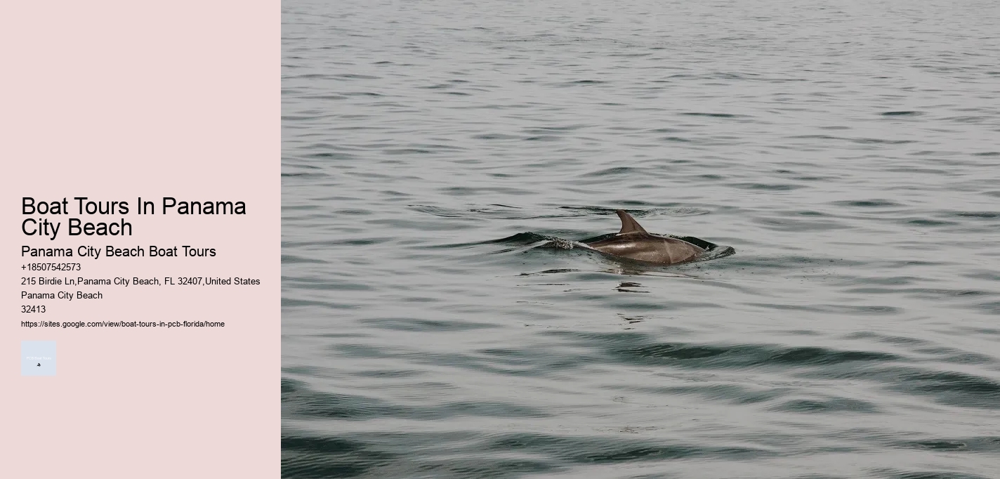 Boat Tours In Panama City Beach Panama City Beach Boat Tours Boat Tours In Panama City Beach
