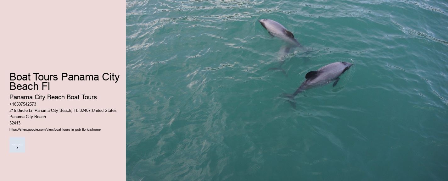 Boat Tours Panama City Beach Fl Panama City Beach Boat Tours Boat Tours Panama City Beach Fl