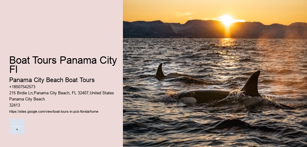 Boat Tours Panama City Fl Panama City Beach Boat Tours Boat Tours Panama City Fl