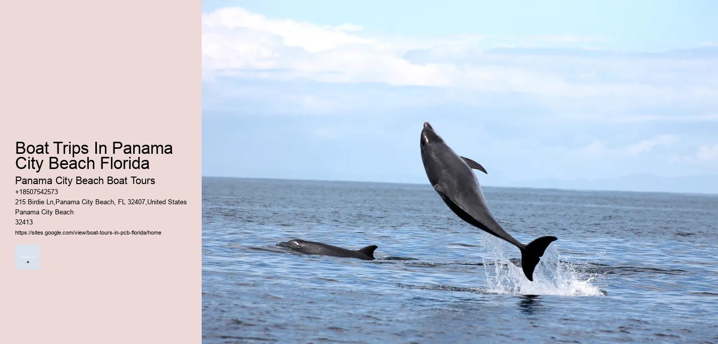 Boat Trips In Panama City Beach Florida Panama City Beach Boat Tours Boat Trips In Panama City Beach Florida