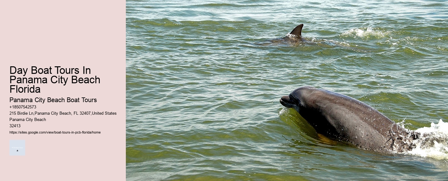 Day Boat Tours In Panama City Beach Florida Panama City Beach Boat Tours Day Boat Tours In Panama City Beach Florida