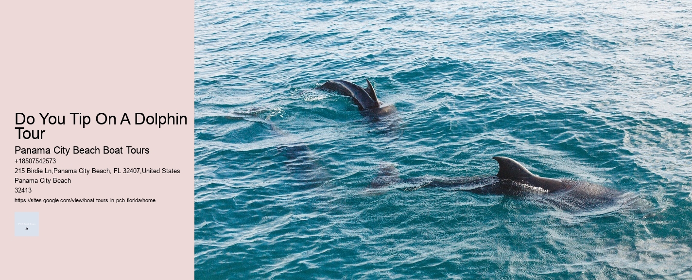 Do You Tip On A Dolphin Tour Panama City Beach Boat Tours Do You Tip On A Dolphin Tour