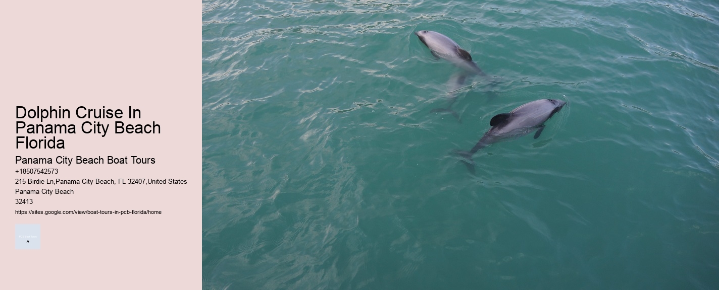 Dolphin Cruise In Panama City Beach Florida Panama City Beach Boat Tours Dolphin Cruise In Panama City Beach Florida