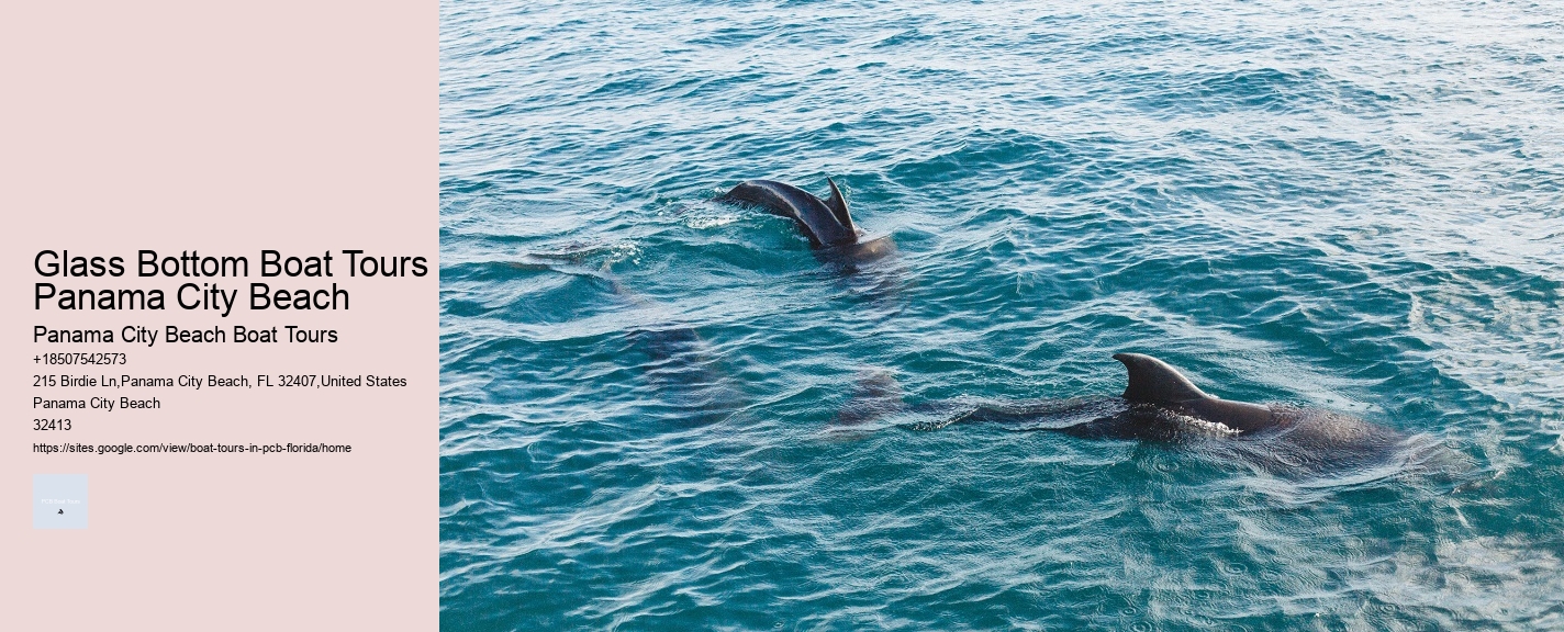 Glass Bottom Boat Tours Panama City Beach Panama City Beach Boat Tours Glass Bottom Boat Tours Panama City Beach