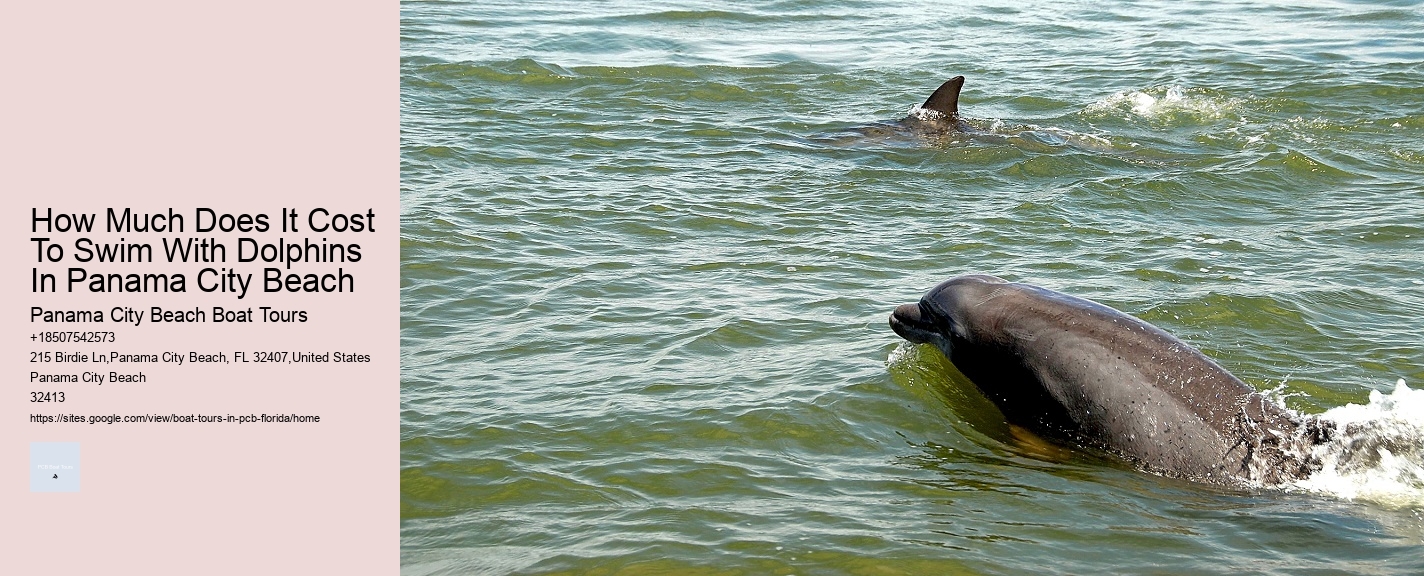 How Much Does It Cost To Swim With Dolphins In Panama City Beach Panama City Beach Boat Tours How Much Does It Cost To Swim With Dolphins In Panama City Beach