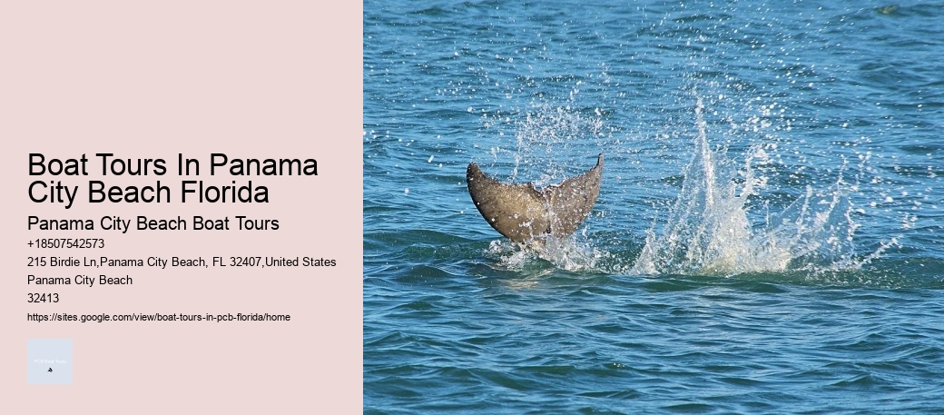 Boat Tours In Panama City Beach Florida Panama City Beach Boat Tours Boat Tours In Panama City Beach Florida