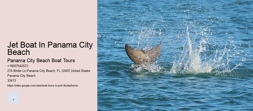 Jet Boat In Panama City Beach Panama City Beach Boat Tours Jet Boat In Panama City Beach