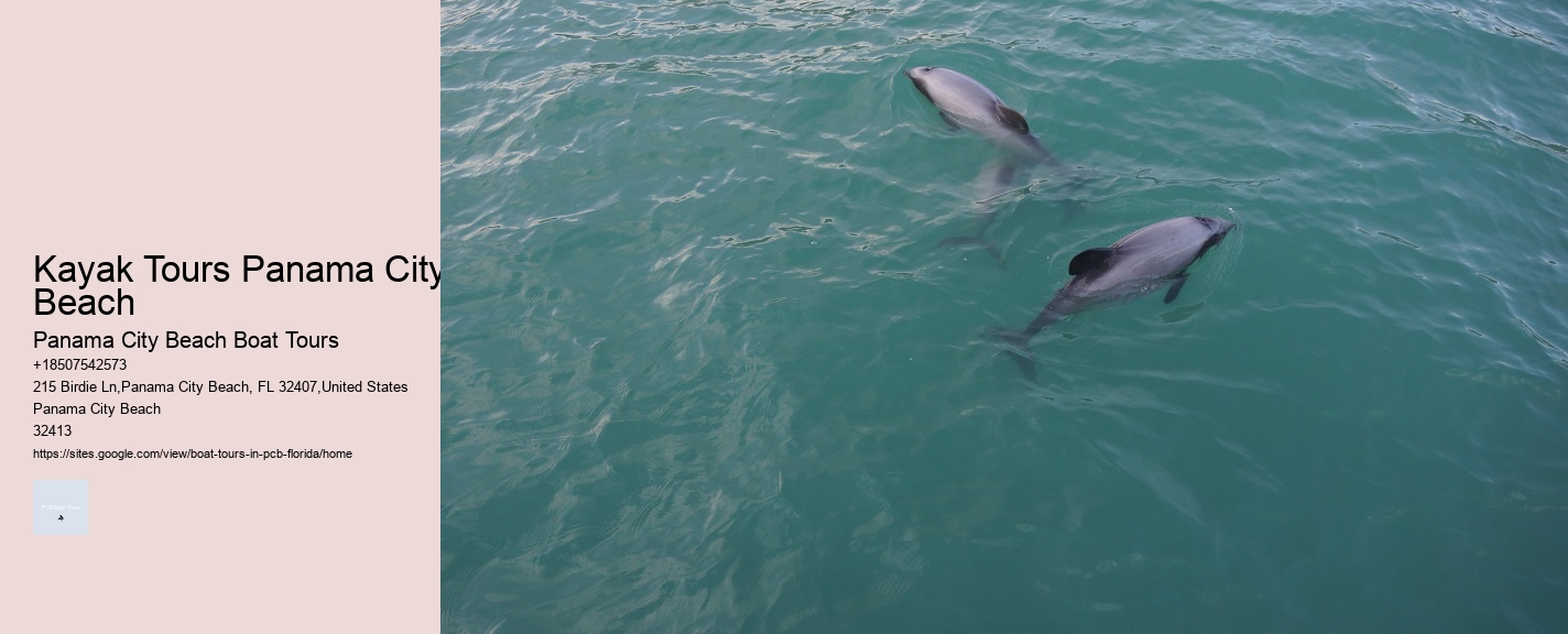 Kayak Tours Panama City Beach Panama City Beach Boat Tours Kayak Tours Panama City Beach
