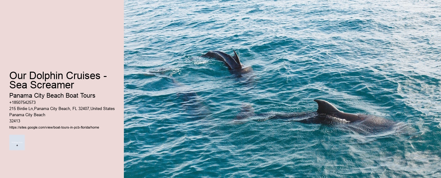 Our Dolphin Cruises - Sea Screamer Panama City Beach Boat Tours Our Dolphin Cruises - Sea Screamer