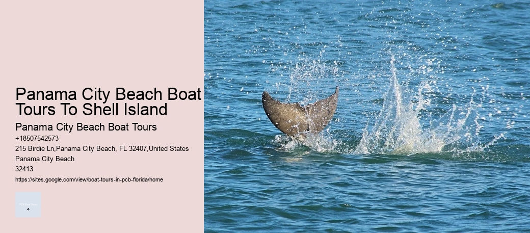Panama City Beach Boat Tours To Shell Island Panama City Beach Boat Tours Panama City Beach Boat Tours To Shell Island