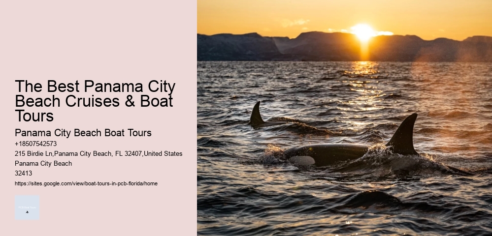 The Best Panama City Beach Cruises & Boat Tours Panama City Beach Boat Tours The Best Panama City Beach Cruises & Boat Tours