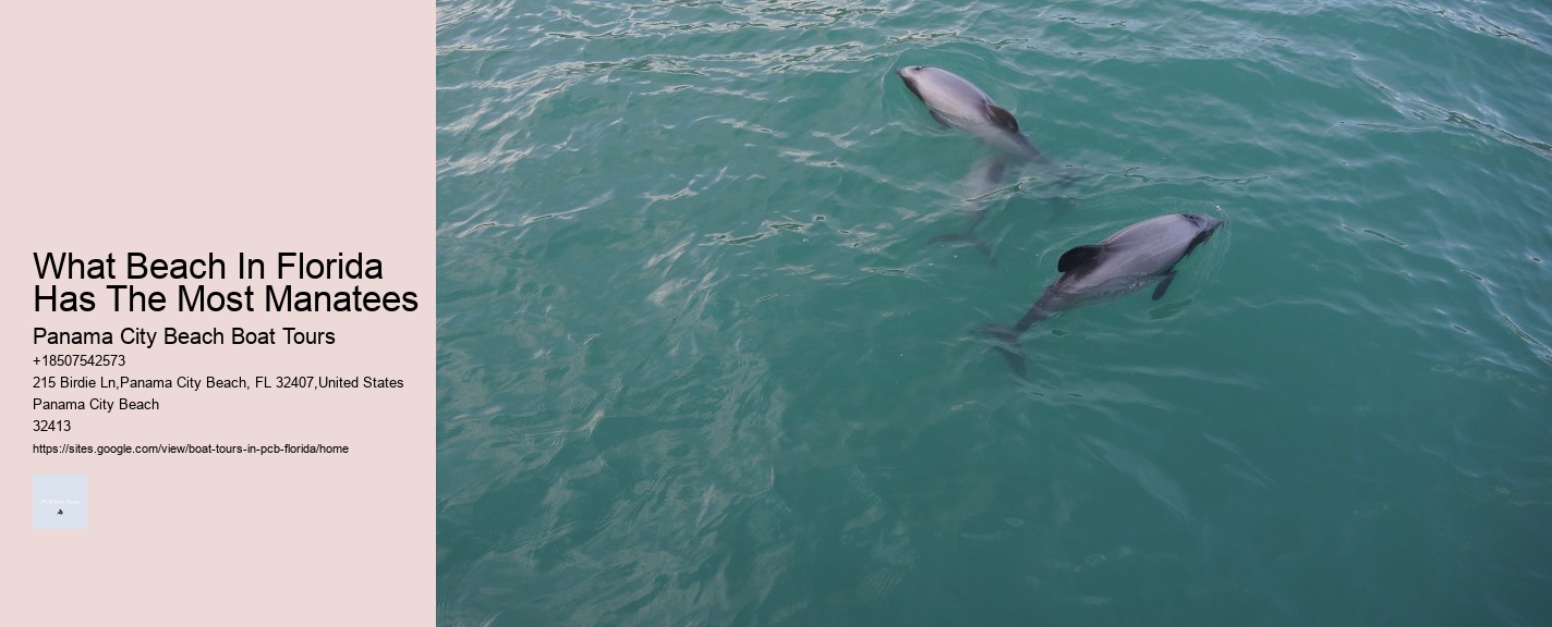 What Beach In Florida Has The Most Manatees Panama City Beach Boat Tours What Beach In Florida Has The Most Manatees