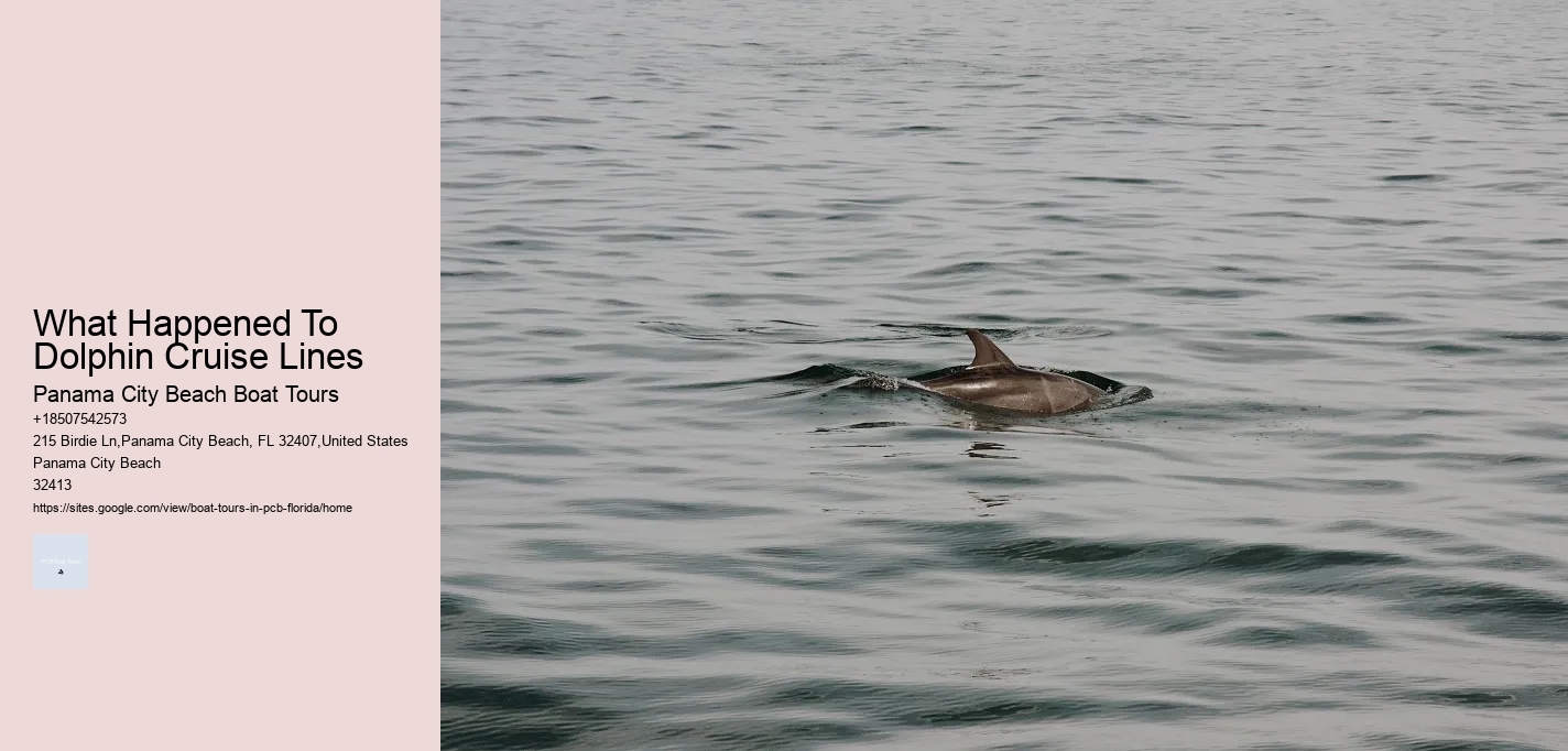 What Happened To Dolphin Cruise Lines Panama City Beach Boat Tours What Happened To Dolphin Cruise Lines