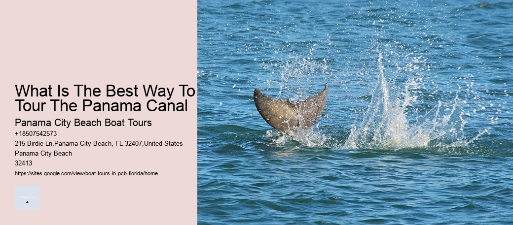 What Is The Best Way To Tour The Panama Canal Panama City Beach Boat Tours What Is The Best Way To Tour The Panama Canal