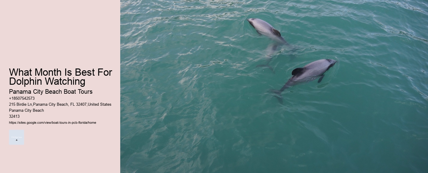 What Month Is Best For Dolphin Watching Panama City Beach Boat Tours What Month Is Best For Dolphin Watching