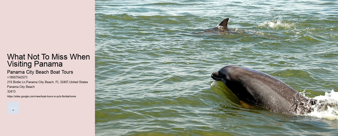 What Not To Miss When Visiting Panama Panama City Beach Boat Tours What Not To Miss When Visiting Panama