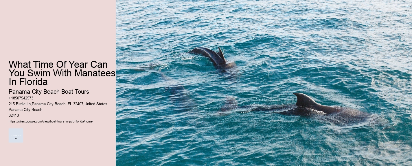 What Time Of Year Can You Swim With Manatees In Florida Panama City Beach Boat Tours What Time Of Year Can You Swim With Manatees In Florida