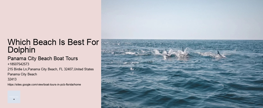 Which Beach Is Best For Dolphin Panama City Beach Boat Tours Which Beach Is Best For Dolphin